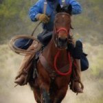 Profile Picture of Tony Christensen (@tccpa) on Instagram