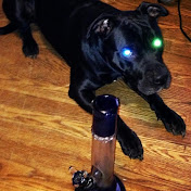 Profile Picture of Dan Howe (@danhowe9080) on Youtube