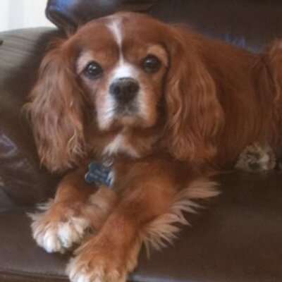 Profile Picture of Ben Casey (@bennybhoy51) on Twitter