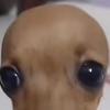 Profile Picture of Dylanisleepy (@dylanisleepy) on Tiktok