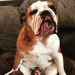 Profile Picture of Mark Channell (@mark_channell) on Instagram