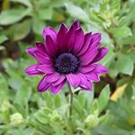 Profile Picture of Mark & Julie (@snappymjs) on Instagram