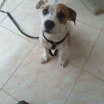 Profile Picture of Alex Yaniel Bencosme Cruz (@alexyanielbencosmecruz) on Instagram