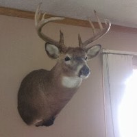 Profile Picture of Scott Schutz (@scott-schutz-2) on Quora