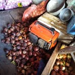 Profile Picture of Hornely Joslin (@hornely.joslin) on Facebook