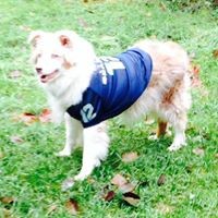 Profile Picture of Wendi Martin (@wendi-martin) on Quora