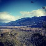 Profile Picture of mauro duran (@mauro_puelche) on Instagram