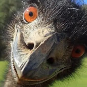 Profile Picture of Kevin Bizzell 0629 (@kevinbizzell6661) on Youtube