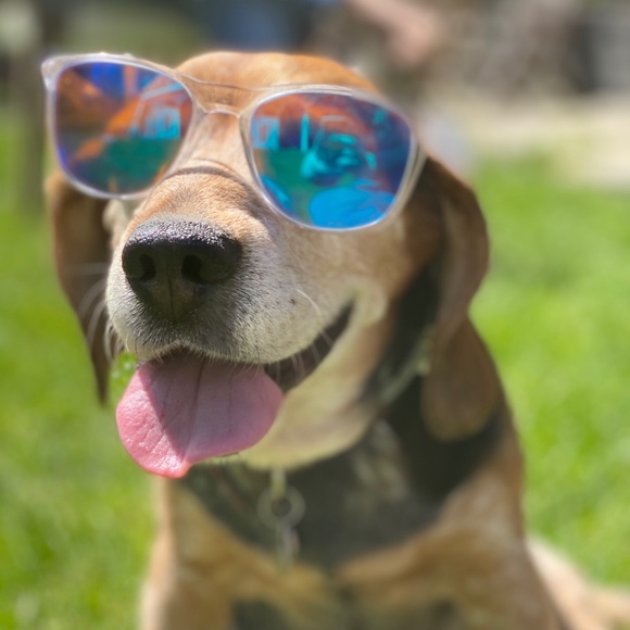 Profile Picture of Adam Zanelli (@azanelli) on Poshmark