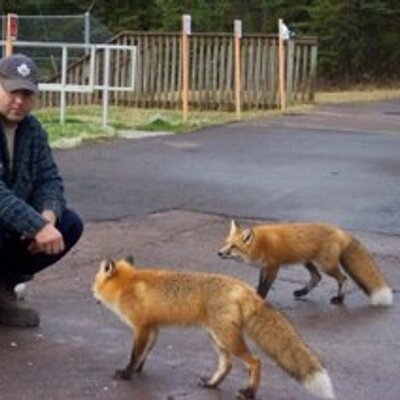 Profile Picture of Kenneth C,E Shaffer (@pterodactyl973) on Twitter