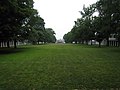 Profile Picture of Lawn - Wikipediaon Wikipedia