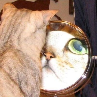 Profile Picture of Emily Pixels (@PixlEmly) on Twitter