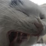 Profile Picture of karola (@fok.of) on Instagram