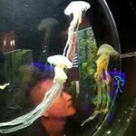 Profile Picture of David Frederick (@frederickdavid) on Instagram