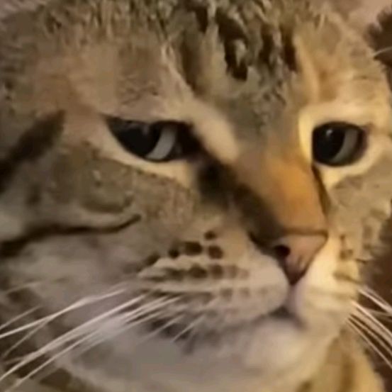 Profile Picture of christophermccord5 (@christophermccord5) on Tiktok