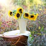 Scott Andrey - Facebook Profile Picture of Scott Andrey (@Scott-Andrey) on Facebook