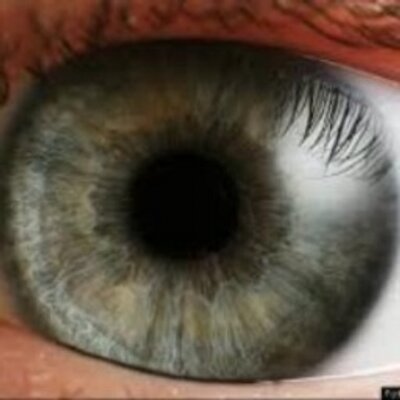 Profile Picture of Adrian Perona Gomez (@CalistaFrye) on Twitter