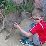 Profile Picture of Alex Klinger (@alex.klinger.1481) on Instagram