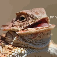 Profile Picture of Isaac Rendon (@isaac-rendon-3) on Quora