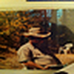 Profile Picture of Jungle2jungle2 (@jungle2jungle2) on Flickr