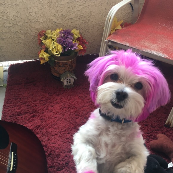 Victoria Rollins - Poshmark Profile Picture of Victoria Rollins (@victoriaroll728) on Poshmark