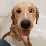 Profile Picture of Emily Crain (@emilyd920) on Instagram