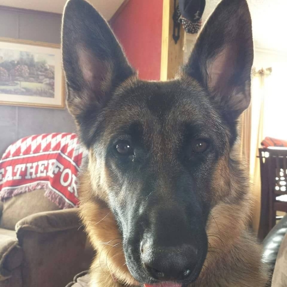 Joshua Ralston - Poshmark Profile Picture of Joshua Ralston (@joshuafralston) on Poshmark