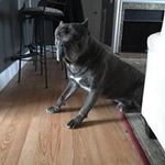 Profile Picture of Nicholas Malone (@nm06100) on Instagram