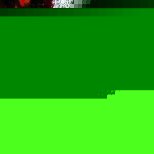 Amanda Fields - Myspace Profile Picture of Amanda Fields (@amandanoel_07) on Myspace