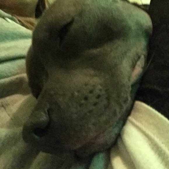 Profile Picture of Erica Pociask (@epo87) on Poshmark