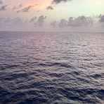 Profile Picture of Daniel Chaussky (@Daniel-Chaussky) on Facebook