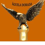 Profile Picture of Joel Calzada (@gcia.wuniversity) on Instagram