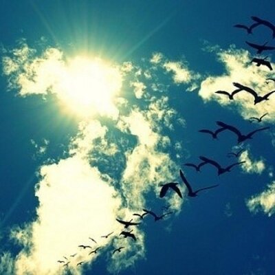 Profile Picture of Dan Liao (@okldkk) on Twitter