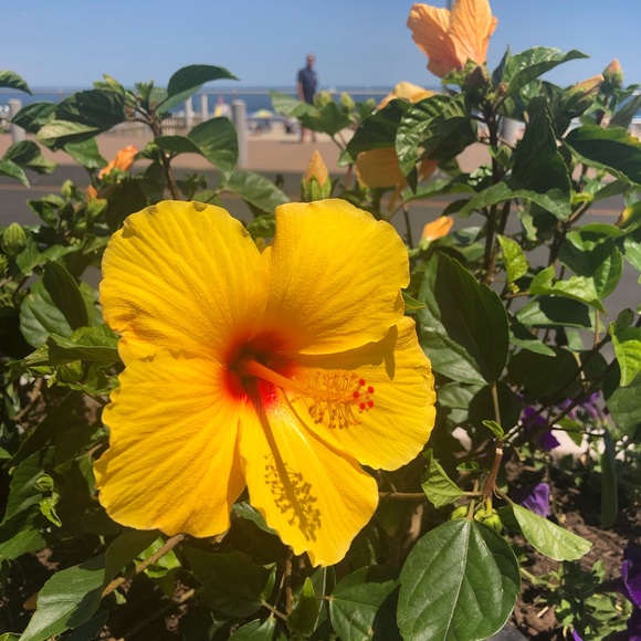 Profile Picture of Carla Grosso (@carlagrosso) on Poshmark