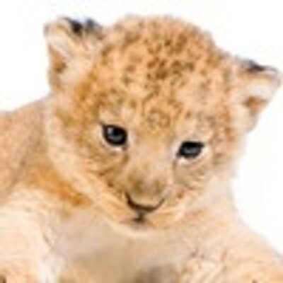 Profile Picture of Chastity Gregory (@iris_small) on Twitter