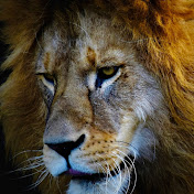 Profile Picture of Labrant James Six (@labrantjamessix726) on Youtube