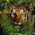 Profile Picture of Long Willis (@long.willis.7) on Facebook