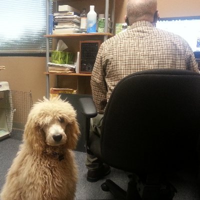 Profile Picture of Christopher Stockwell (@Matolius) on Twitter