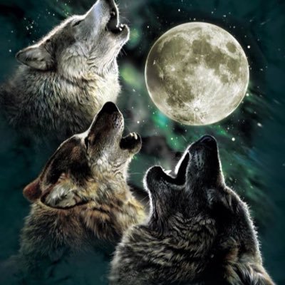 Profile Picture of Brad Rowley (@bradjrowley) on Twitter