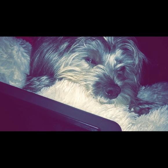 Profile Picture of Iris Flores (@iris14141414) on Poshmark