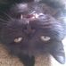 Profile Picture of Dibble Marshall (@dibble.marshall) on Facebook