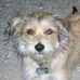 Profile Picture of Ted Lester (@ted.lester.144) on Facebook