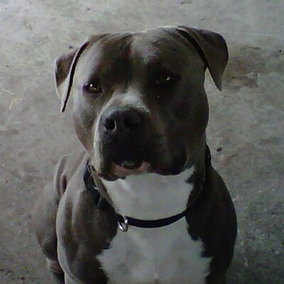 Profile Picture of Mike Hixon (@hixon_mike) on Twitter