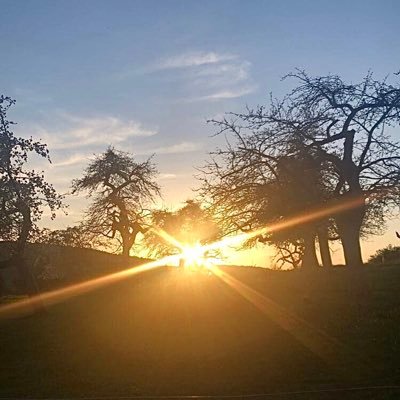 Profile Picture of Lara Hess (@LaraHess44) on Twitter