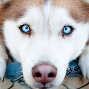 Profile Picture of Emily Daniel (@emilydaniel9634) on Youtube