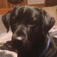 Profile Picture of Chuck Davidson (@chuck-davidson-35) on Quora