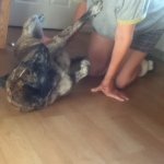 Profile Picture of 👉Hunter  Purcell👈 (@_hunter_wuz_here__) on Instagram