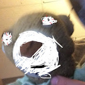 Profile Picture of Memes With Gary Hackett (@memeswithgaryhackett3069) on Youtube