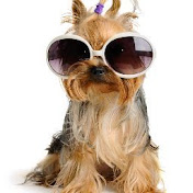 Profile Picture of Jimmie Jones (@jimmiejones5149) on Youtube