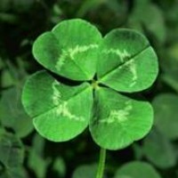 Profile Picture of Alexander Darson (@alexander-darson) on Quora